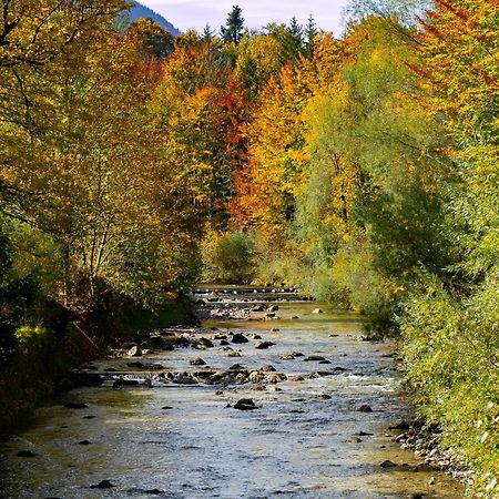 Ferienwohnungen Hollweger Inkl. Chiemgaukarte Ruhpolding Esterno foto