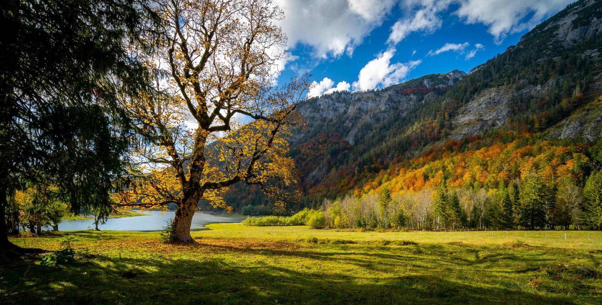 Ferienwohnungen Hollweger Inkl. Chiemgaukarte Ruhpolding Esterno foto