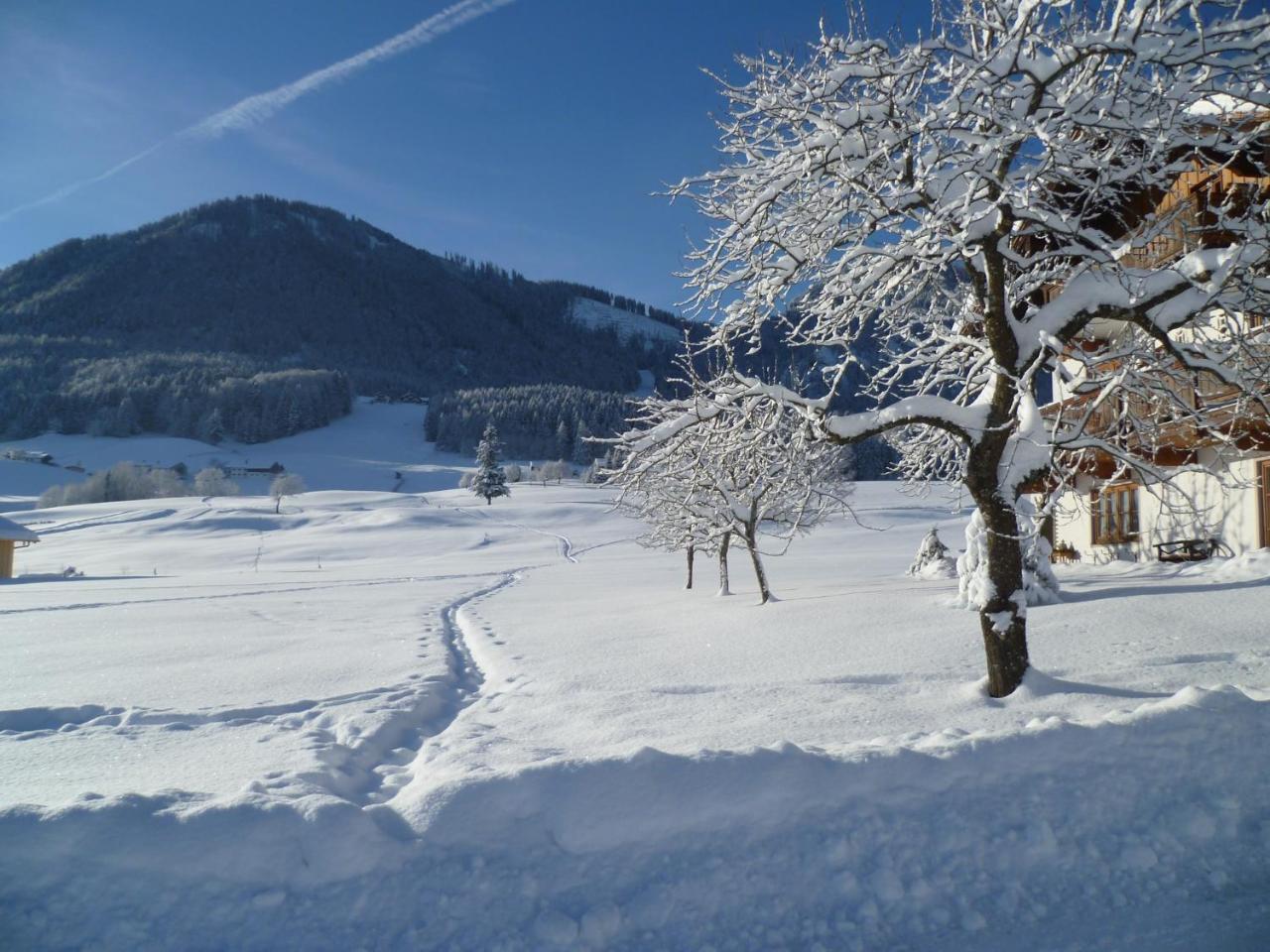 Ferienwohnungen Hollweger Inkl. Chiemgaukarte Ruhpolding Esterno foto